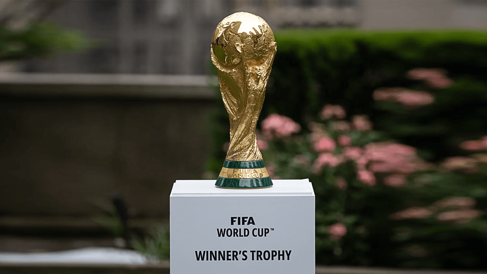 fifa world cup