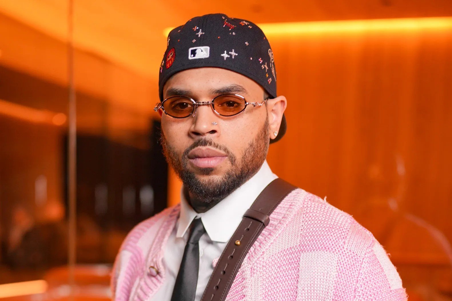 chris brown dog attack
