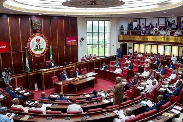 nigerian senate xenophobia south africa