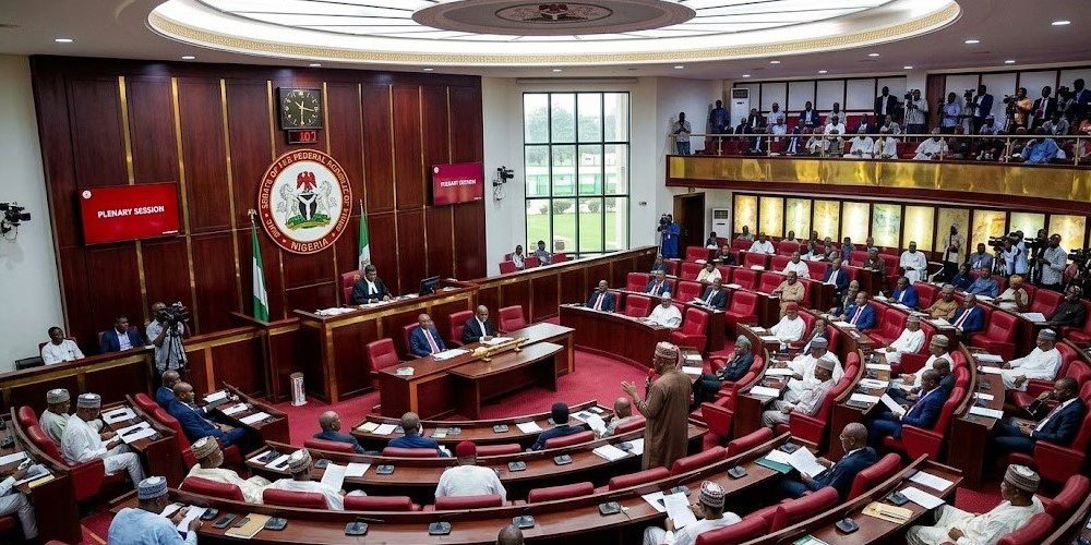nigerian senate xenophobia south africa