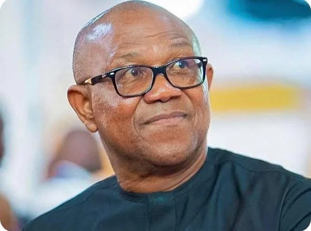 peter obi parking airport fine