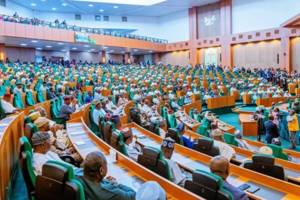 reps tinubu summons ghost agency nigeria