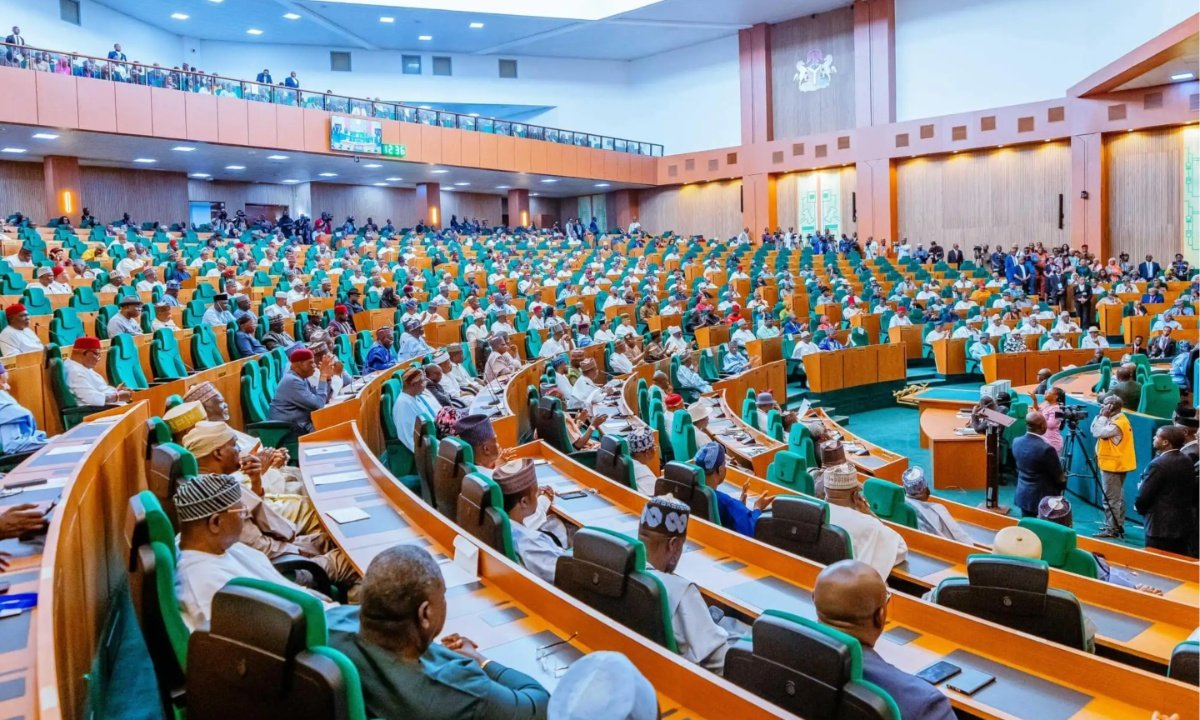 reps tinubu summons ghost agency nigeria