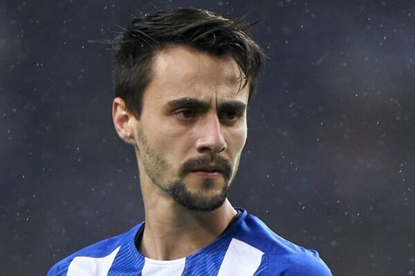 arsenal hamburger sv fabio vieira