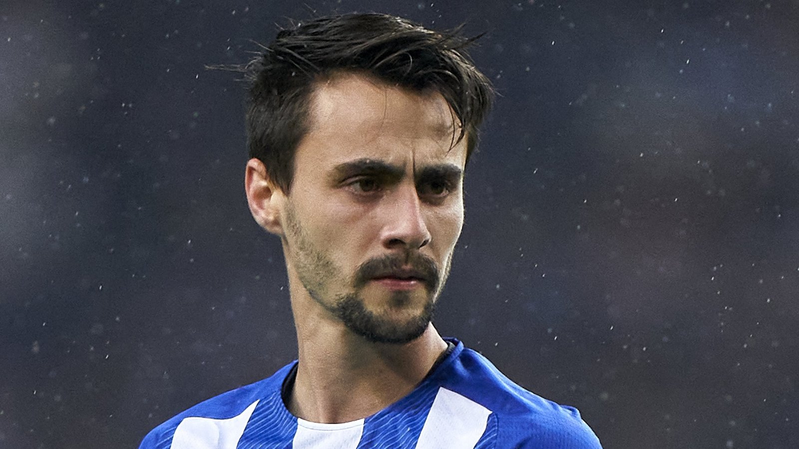 arsenal hamburger sv fabio vieira