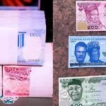 cbn naira increase