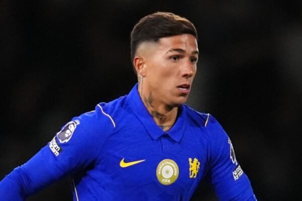 enzo fernandes transfer