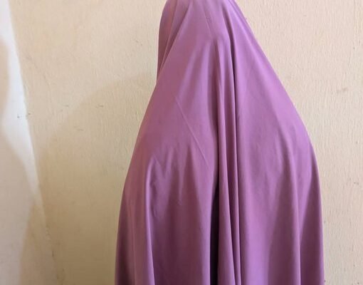 kebbi woman steals newborn