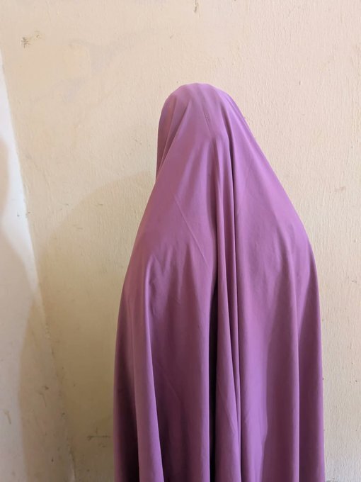kebbi woman steals newborn