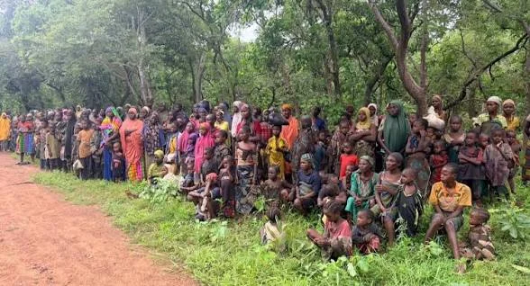 nigeria 308 kidnap rescue