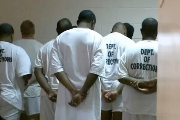 nigerian national oyewusi US unemployment insurance fraud