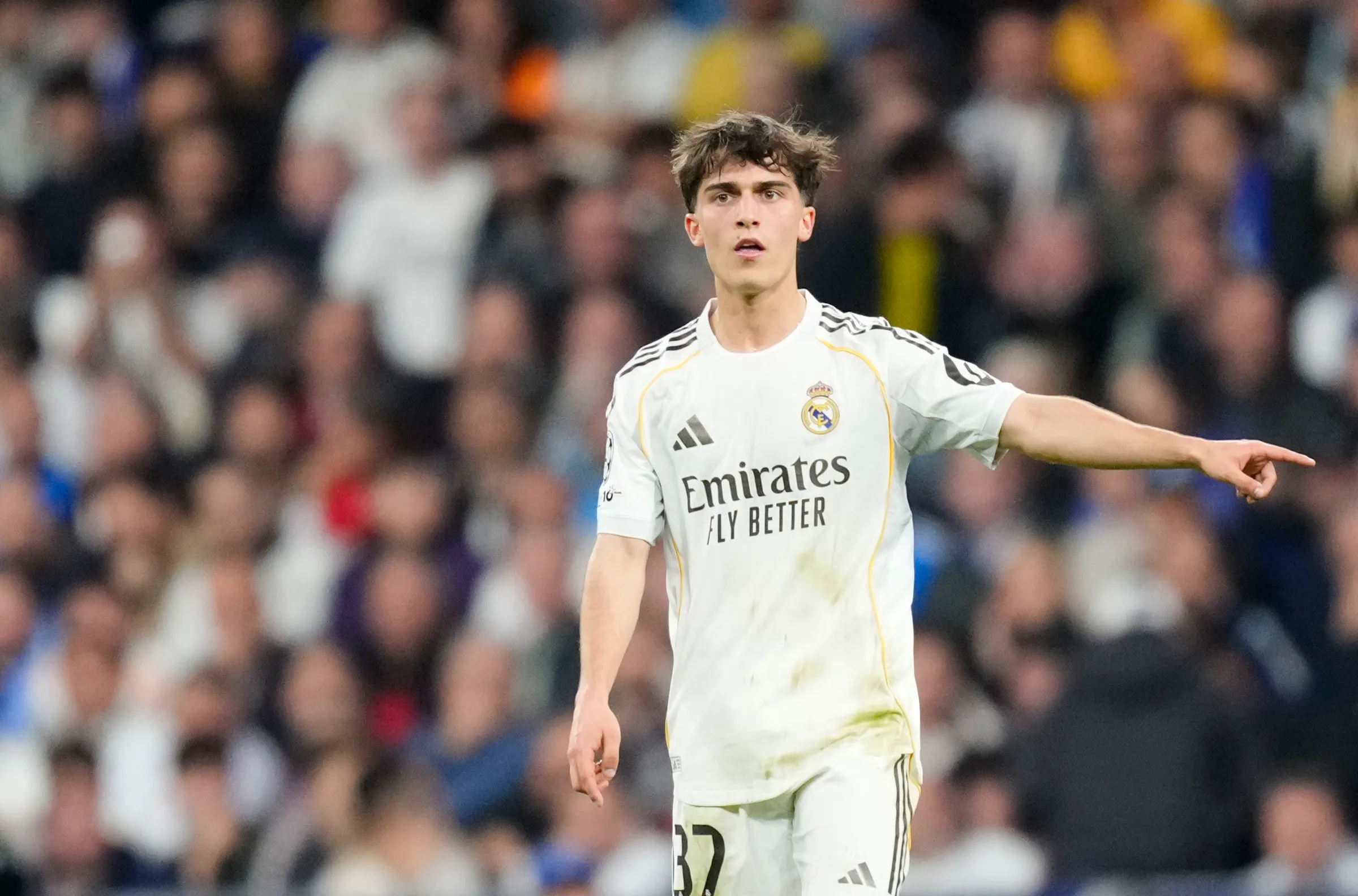 Manuel Ángel transfer