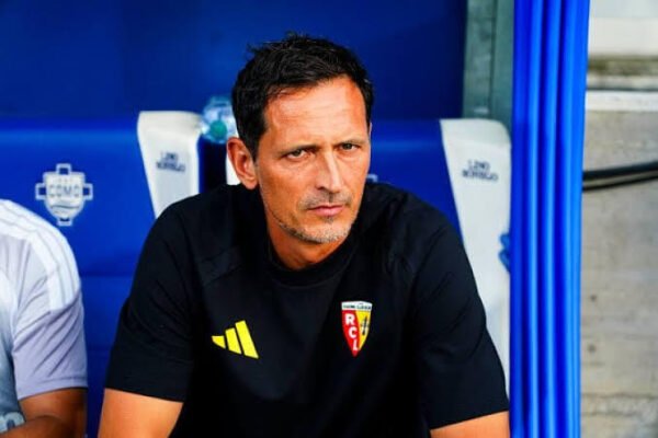 rc lens sacks dino toppmoller