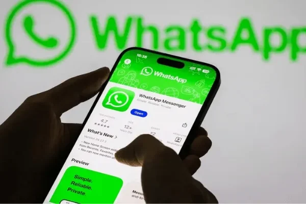 whatsapp business charges in nigeria