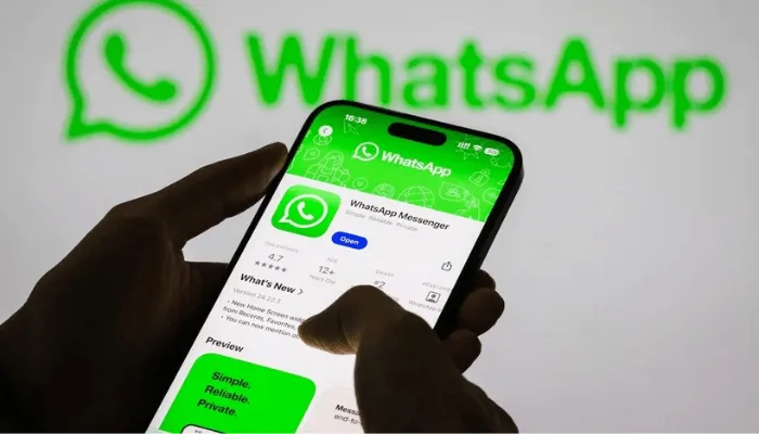 whatsapp business charges in nigeria